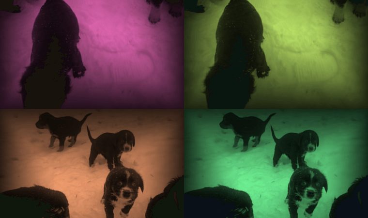 Собачатко для внучатка zobrazhennia viber 2023 03 28 19 12 47 566