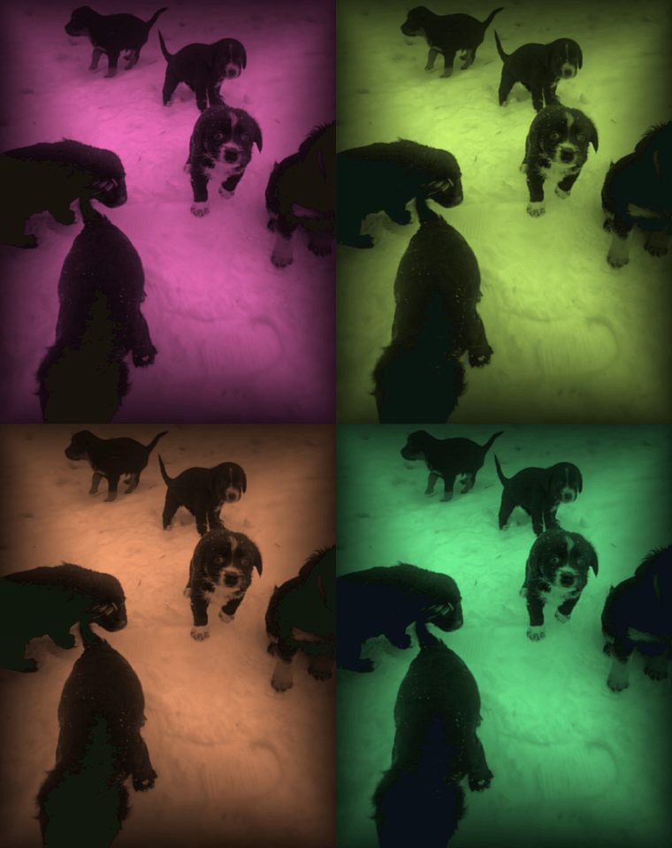 zobrazhennia viber 2023 03 28 19 12 47 566