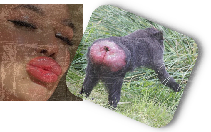 Губа-самка… instasamka darja zotejeva 55260510