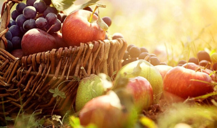 367453476 972591714045127 2871182613737733747 n