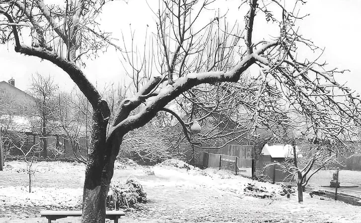 зима сніжок