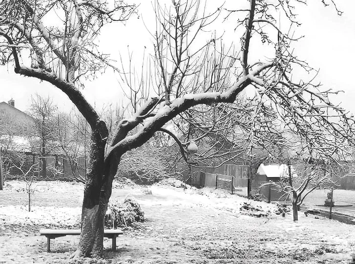 зима сніжок